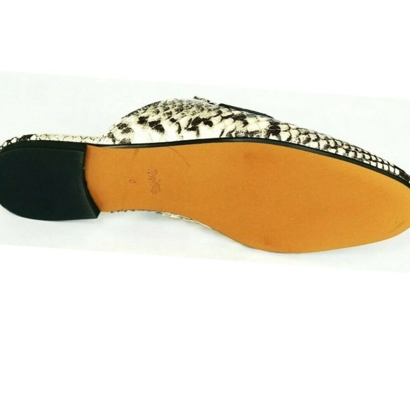 Coach Women's Scotty Slide 8 - Picture 3 of 3